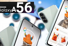 Update Harga Samsung Galaxy A Series Maret 2025, Terbaru Ada Dari Galaxy A56