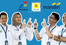 7 Deretan Kampus Incaran Perusahaan BUMN Pertamina, Mandiri, dan PLN, Adakah Kampus Impianmu?