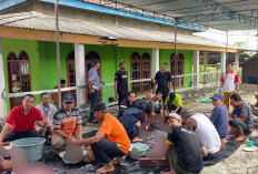 Idul Adha 1446 H, LDII PAC Mesat dan LDII PAC Batu Urip Bagikan Ratusan Kantong Daging Kurban