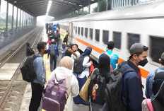 5 Daftar Kereta Api Paling Laris Januari–September 2024, Siapa Juaranya?