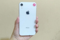 iPhone XR Keluaran 2018 Apakah Masih Layak Digunakan? Ini Cerita Penggunanya di Lubuklinggau