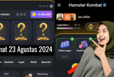 Combo Harian Hamster Kombat Hari Ini 23 Agustus 2024, Garap Hingga 5 Juta Koin Gratis