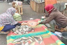 Harga Ikan Nila di Pasar Inpres Lubuklinggau Ikut Naik