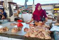 Pasokan Aman, Harga Ayam dan Telur di Tugumulyo Musi Rawas Tidak Alami Kenaikan