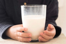Mending Susu UHT atau Susu Formula ? Ini Penjelasan Lengkapnya