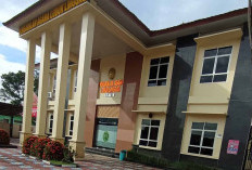 Perceraian Bukan Solusi Instan, Ini Alasan Wanita Cerai Gugat di Pengadilan Agama Kota Lubuk Linggau  