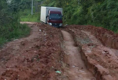 Perbaikan Jalan Nibung Dianggarkan Rp 2 Miliar, DPRD Muratara : Duit Segitu Dapat Apo, Jalan Rusak 8 Kilometer