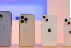iPhone 14 Series Turun Drastis di Indonesia, Ini Alasan dan Detail Harganya di iBox Per Mei 2024