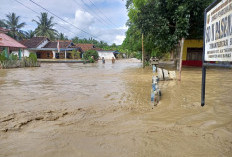 Desa Pasenan Musi Rawas Dilanda Banjir Bandang, Rumah dan Sekolah Terendam, Ratusan Warga Mengungsi