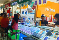Mulai Rp 3 Jutaan, ini Daftar Harga 24 HP Mei 2025 Xiaomi Redmi, Samsung, POCO, OPPO Vivo, Realme Infinix