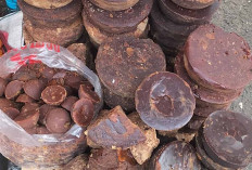 Gula Merah dari Curup Dijual Rp25 Ribu, Pembeli Tinggal Pilih Sesuai Selera 