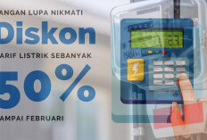 Tarif Listrik 50% PLN Masih Berlaku, Tak Perlu Terburu Batas Hingga 28 Februari 2025