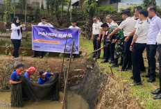 Latih Warga Binaan Menanam Sayur dan Budidaya Ikan Lele, Lapas Lubuk Linggau Lakukan Panen Raya