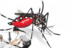 22 Orang Meninggal karena DBD, di Muratara dan Lubuk Linggau Ada 6 Korban