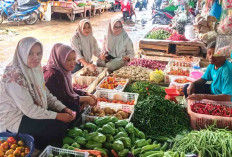 Harga Cabai di Musi Rawas Kembali Naik, Dari Rp 3.000 hingga Rp 10.000 Perkilogram