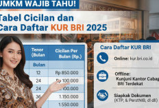 UMKM Wajib Tahu! Tabel Cicilan dan Cara Daftar KUR BRI 2025