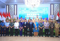 Pernah Jabat Kadinkes Muratara, dr. Arios Saplis Dilantik jadi Kepala BKKBN Sumsel