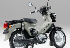 Tampil Klasik dan Irit, Ini Spesifikasi Honda Cross Cub 110 Terbaru!