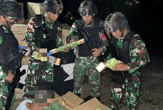 TNI Gagalkan Penyelundupan Besar di Indonesia, Ini 4 Daftar Barangnya