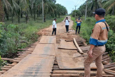 Jembatan di Warga Mulya Plakat Tinggi Memprihatinkan, Pemkab Muba Janji Segera Perbaiki