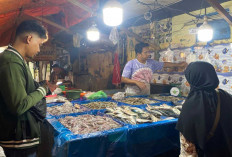 Dari Daging ke Laut, Pasar Inpres Kembali Hidup dengan Ikan Segar