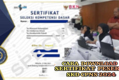 Peserta Wajib Cetak Sertifikat SKD CPNS 2024, Ini Ketentuan Langsung dari BKN