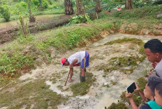 Pemdes Sukarena Masih Mengkaji Usaha Kopdes Merah Putih, Biar Lambat Asal Selamat