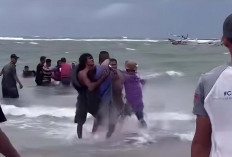 Tragedi Kapal Karam 8 Wisatawan Pulau Tikus Meninggal Dunia, 1 Warga Lubuk Linggau