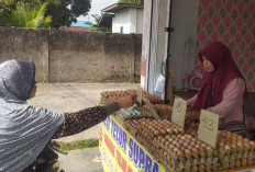 Tips Memilih Telur Segar dan Berkualitas dari Agen Telur Supra di Lubuk Linggau 