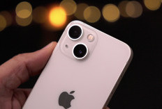 Bocoran iPhone 17e Masuk Indonesia, Bawa Kamera 48MP dan Harga Lebih Terjangkau