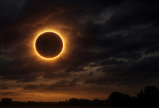 2 Agustus 2025 Dunia Gelap, Konten Viral Rengking di Pencairan Google