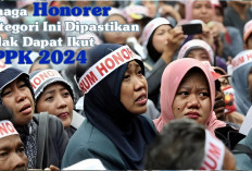 Ada 3 Kategori Tenaga Honorer yang Tidak Bisa Ikut PPPK 2024, Apa Saja?