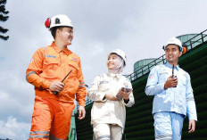 PLN Catat Lonjakan Pengguna REC, Penjualan Tembus 13,68 TWh di Semester I 2025