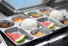 MBG Hanya untuk Memenuhi Sepertiga dari Kebutuhan Gizi Harian 