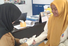 Dinkes Kota Lubuk Linggau Pemeriksaan Hemoglobin 15.908 Remaja Putri