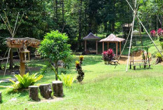 Jangan Mager Aja, Yuk Camping Seru Bareng Keluarga di Bukit Cogong Musi Rawas