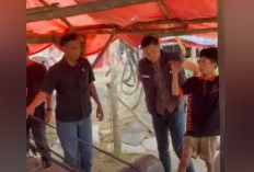 Polres Mura Bongkar Praktik Pengolahan Emas Ilegal. 2 Tersangka Akui Sudah 2 Tahun Lakukan Ilegal Ini
