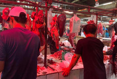 Stok Melimpah Harga Daging Sapi Stabil 