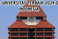 Buruan Intip! 6 Universitas Terbaik 2024 di Indonesia, yang Masuk Peringkat Dunia