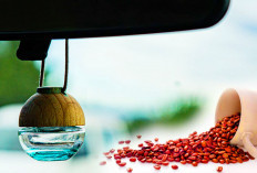 Wangi Kopi Pilihan Favorit Jadi Parfum Mobil Ini 5 Rekomendasi Sesuai Harga dan Alasannya