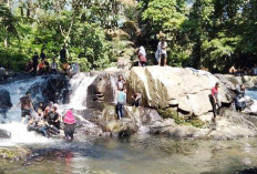 Pesona Alam Muratara dari Air Terjun Muaro Meredam, Susuri Sungai Batang Empu