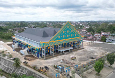 26 Juli 2025 Lomba Mewarnai Tingkat TK dan SD di TOM Lubuk Linggau, Begini Teknisnya