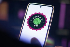 Google Luncurkan Android 17, Quick Share Kini Bisa Terhubung ke AirDrop Apple