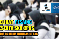 Peserta SKD CPNS 2024 Harus Tahu Potensi Para Pesaing, Ini Syarat Lolos SKD