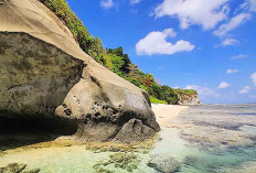 Pantai Koomang Pulau Enggano Bengkulu Daya Tarik dengan Keunikan Geologi