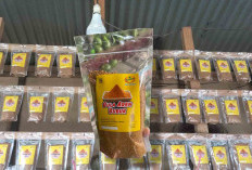 Gula Aren Bubuk Asal Curup Laris di Lubuk Linggau, Alternatif Sehat Pengganti Gula Pasir
