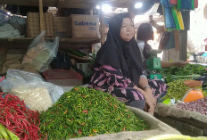 Harga Komoditi Pangan di Pasar Megang Sakti Musi Rawas Mulai Naik