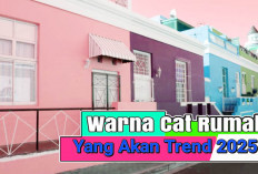 Tren Warna Cat Rumah 2025 Bikin Populer Terkesan Lembut dan Netral