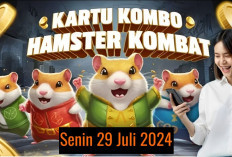 ﻿Baru Combo Harian Hamster Kombat Hari Ini 29 Juli 2024, Garap Hingga 5 Juta Koin Gratis