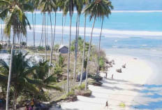 Coconut Beach Pantai Kombinasi Jadi Rekomendasi Liburan Tahun Baru 2026